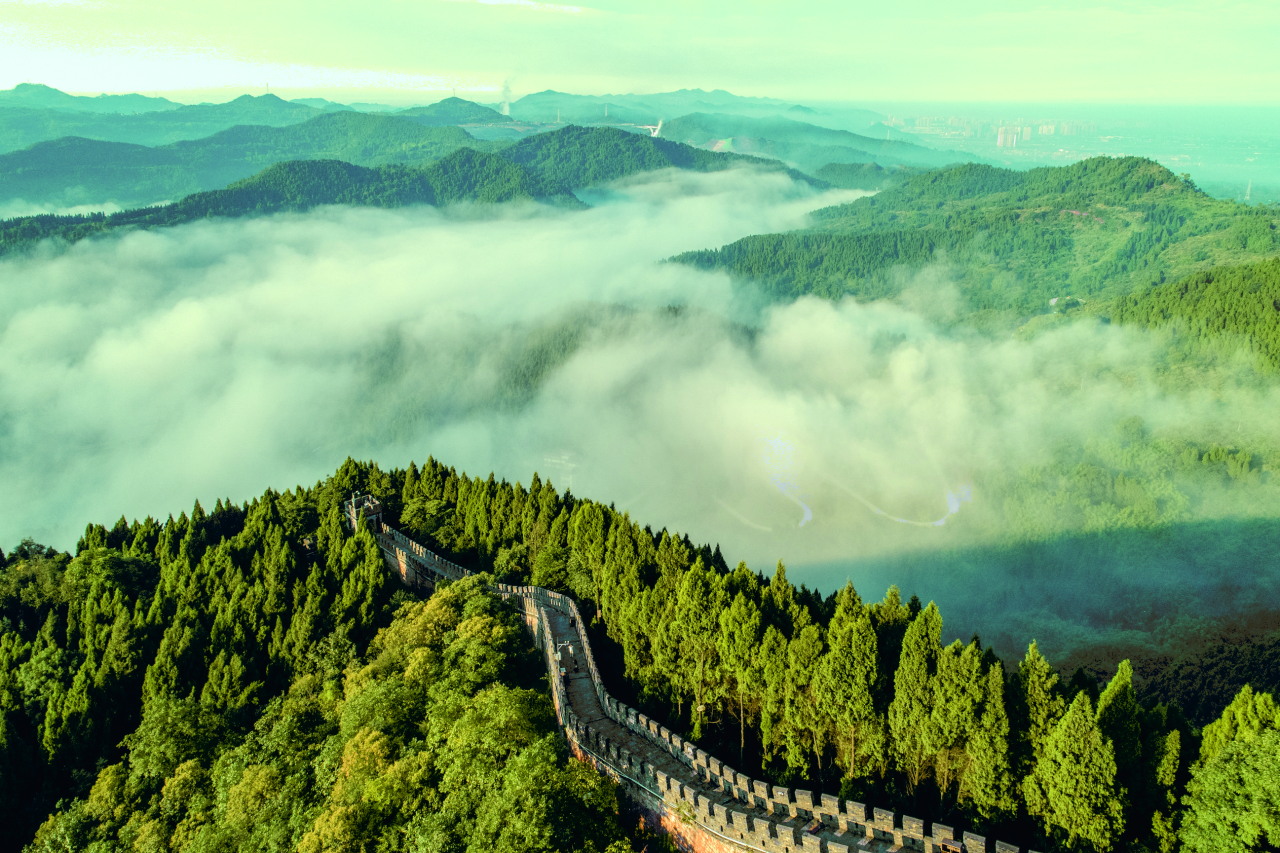 ������Ч�����ж���5001��˹ά��˹�ʹܹ�˾̽�������ںϷ�չ��·��